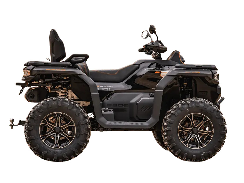 quad GOES-Terrox-1000-abs